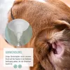 REAVET Ohrentropfen mit kolloidalem Silber 50ml I für Hunde Produktbild-Vorschau 3