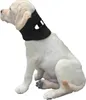 INF Collier de Protection Post-Opératoire pour Animaux - Voir les images du produit 1