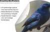 MuchoWow® Produktbild-Vorschau 4