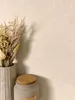 NEWROOM Tapete Paraiso Uni Beige Vliestapete - Modern Produktbild-Vorschau 1