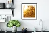 MuchoWow® Gerahmtes Poster Pampasgras - Sonne - Gras 40x40 Produktbild-Vorschau 4