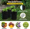 Hydroponic growing system with lettuce plants in buckets, surrounded by grass and a house wall. Náhľad obrázku produktu