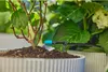 Gardena Micro-Drip-System Set Terrasse (30 Pflanzen) Produktbild-Vorschau 19