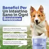 Flora Plus – Probiotici per Cani - Pet Sprint Anteprima dell’immagine prodotto 5