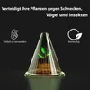 A small plant protected by a clear cone-shaped cover, with text and icons indicating its benefits. Produktbild-Vorschau
