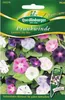 Prunkwinden Summer Sky Mix | Windensamen von Quedlinburger Produktbild-Vorschau 1