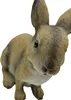 Prodex Kaninchen aus Polystone, sitzend, 22 x 22 cm, A00420 Produktbild-Vorschau 5