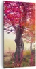 Bild auf Leinwand - Leinwandbild - Baum Natur Wiese - Produktbild-Vorschau 1