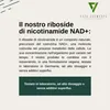 Vita Elements Complesso NAD+ 80 Capsule Nicotinamide Anteprima dell’immagine prodotto 2