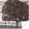 MuchoWow® Poster Apfelbaum II - Gustav Klimt 75x75 cm - Produktbild-Vorschau 1