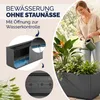 CASARIA® Blumenkasten "Ethica“ 80L 80x36x36cm Ablaufboden Produktbild-Vorschau 4