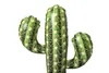 Bestway 43244, Modrá, Zelená, Obrázok, PVC, Cactus, 67 cm, Náhľad obrázku produktu 11
