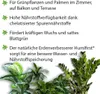 SUBSTRAL® 74920 SUBSTRAL® Grünpflanzendünger 1000 ml Anteprima dell’immagine prodotto 3