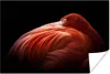 MuchoWow® Poster Flamingo - Federn - Rosa 30x20 cm - Produktbild-Vorschau 1