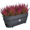 elho® Vibia campana Pflanzkasten Anthrazit 50 cm mit Halter Produktbild-Vorschau 3