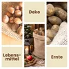 Jutesack Kartoffelsack Pflanzsack 85x50 cm Winterschutz für Produktbild-Vorschau 4