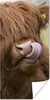 MuchoWow® Poster Schottischer Highlander - Braun - Tiere Produktbild-Vorschau 1