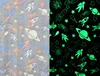A split image showing a glow-in-the-dark blanket with a space-themed pattern. The left side shows the pattern in normal light, and the right side shows it glowing in the dark. Náhled obrázku produktu
