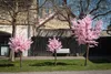 DECOLED Sakura, 300 x 200 cm, růžová Náhled obrázku produktu 3