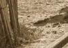 Akustikbild Strand Meer 200x100 cm Bilder Akustikschaum Produktbild-Vorschau 4