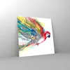 Bilder auf glas - Parrot Flügel Federn Natur - 60x60cm - Produktbild-Vorschau 4