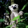 Pluszowy Lemur 22 cm Ekologiczny Podgląd zdjęcia produktu 13
