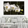 Triptychon auf leinwand weiße orchidee 120x80 cm Feeby Produktbild-Vorschau 2
