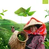 Mary Rose – Tè Matcha biologico giapponese 100 g – Tè verde Anteprima dell’immagine prodotto 4