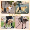 Hundegeschirr Hunde Tragehilfe Einstellbar Gehhilfe Hund Produktbild-Vorschau 5