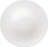 Rosenthal Speiseteller 28 cm Jade Weiss 61040-800001-10229 Anteprima dell’immagine prodotto 1
