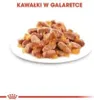 A pile of cat food pieces in jelly on a white plate. Voir les images du produit