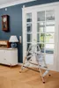 A step ladder is placed in front of glass doors in a room with blue walls and wooden flooring. Anteprima dell’immagine prodotto