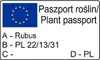Malinotruskawka (Malina ponętna) 1L Podgląd zdjęcia produktu 12