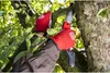 FELCO Klappsäge 603 Produktbild-Vorschau 9