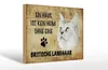 Holzschild Spruch 30x20cm britische Langhaar ohne kein Heim Produktbild-Vorschau 1