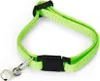 Beeztees - Kätzchenhalsband - Nylon - knallgrün - Produktbild-Vorschau 1