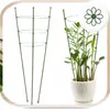 Pflanzenstütze 60 cm - Grün - Stabil und ästhetisch - Inkl. Produktbild-Vorschau 4