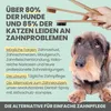noms+ Dentalspray 50ml  für Hunde und Katzen bei Zahnstein Produktbild-Vorschau 6