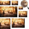 Samolepicí fototapeta – 250 x 104 cm – tapeta – nástěnná Náhled obrázku produktu 5