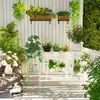 A balcony decorated with various plants and a small white table. Produktbild-Vorschau