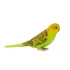 Mojo Fun Budgerigar Green, 3 lat(a), FARMLAND, Zielony, Podgląd zdjęcia produktu 7