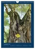 Corfu – Insel der Lebensfreude (Wandkalender 2027, DIN A4, Produktbild-Vorschau 13