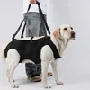Harnais de soutien pour chiens, harnais de transport pour Voir les images du produit 3
