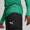 Puma Teamgoal Trainingssweat Herren - Grün Produktbild-Vorschau 7