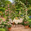 Relaxdays Padiglione delle rose, metallo, A x L x P: 250 x Anteprima dell’immagine prodotto 3
