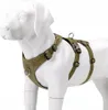 Pettorina anti-fuga per cani da guardia Winhyepet XL Anteprima dell’immagine prodotto 3