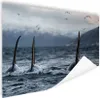 MuchoWow® Poster Drei Orcas 180x120 cm - Fotoplakat Produktbild-Vorschau 1