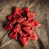 Hunter Halsband-Fliege Paris rot. Produktbild-Vorschau 9
