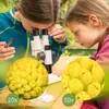 Bresser Junior stereomicroscoop, geschikt voor zowel Productafbeelding-voorbeeld 10