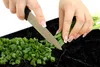 Herdabdeckplatte 80x52cm 1-teilig Produktbild-Vorschau 8